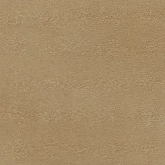 Close-up of a tan-brown textured surface with fine grain.