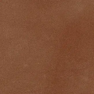 Close-up of brown leather surface with fine grain and subtle texture.