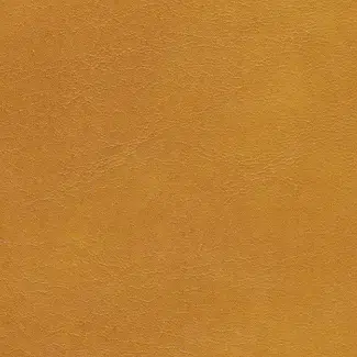 Orange-brown textured surface, like a warm wall or background.