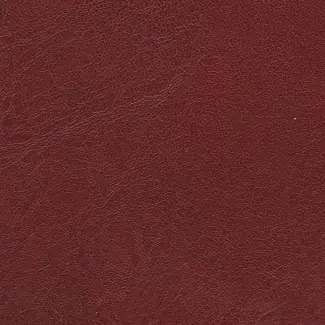 Dark red leather texture background with subtle grain and creases.