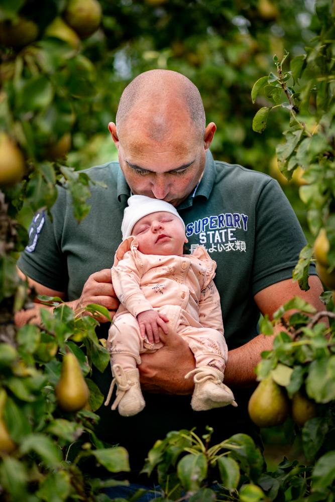 Father cradling a sleeping baby among pear trees in a green orchard, baby in pale pink outfit and white hat.