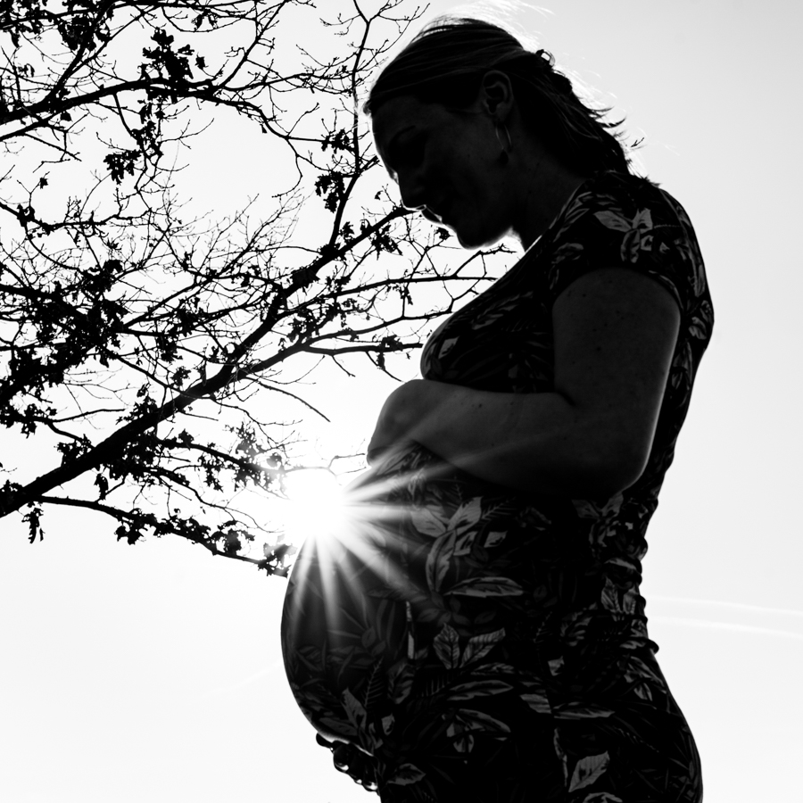 Backlit silhouette of a pregnant woman in profile, cradling her belly beside a tree with a sunburst.